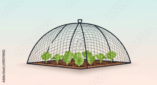 Young plants protected under a wire mesh dome in a garden bed