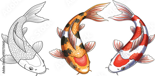 Traditional Japanese Koi Fish Vector Illustration Set Featuring Orange Carp in Irezumi Style with Pink Lotus Flowers Sea Waves and Black Line Art Stencils