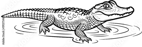 Black and white drawing of an alligator wading in water