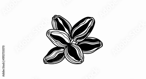 Black and white illustration of a cluster of five dates on a white background