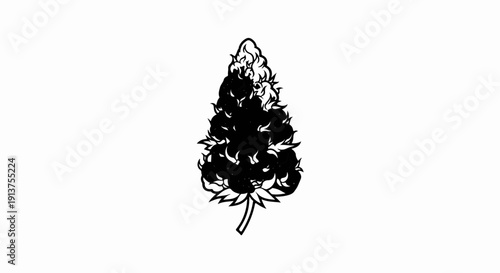 Black and white illustration of a conical berry with a stem