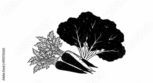 Black and white illustration of carrots with leafy greens