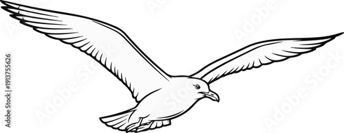 Black and white line drawing of a seagull in flight, wings spread wide