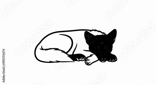 Black and white sketch of a dog curled up resting peacefully