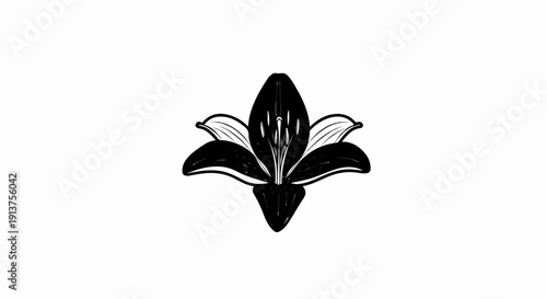 Black and white sketch of an open lily flower with detailed petals and stamen