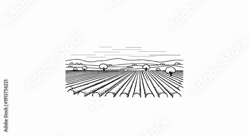 Black and white sketch of cultivated fields with trees and rolling hills
