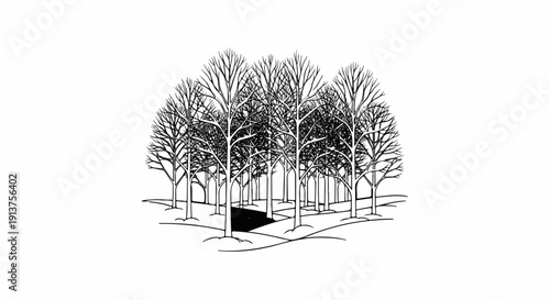 Black and white sketch of deciduous trees in a grove with a path