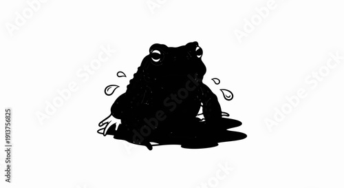 Black frog with white eyes and water droplets