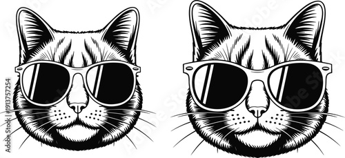 Cool cat wearing sunglasses mascot set, feline head sketch vintage pet animal summer fashion vector illustration
