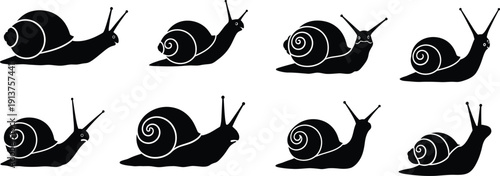 Silhouettes of Snails Crawling Against White Background, Representing Slow Pace and Movement