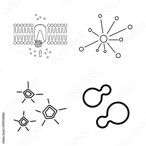 Microscopic Universe: A collection of meticulously crafted scientific illustrations of cellular structures, offering a glimpse into the intricacies of molecular biology and medical research.