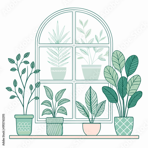 Potted plants arranged on a windowsill with various leafy greens visible through an arched window frame in a serene indoor setting viewed from outside