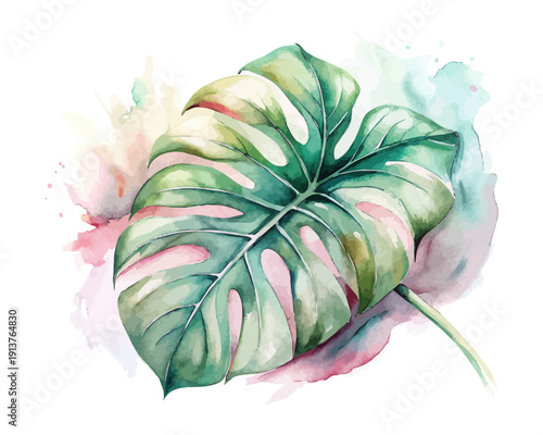 Watercolor Monstera Bloom Illustration, Tropical Botanical Art, vector isolated on white background