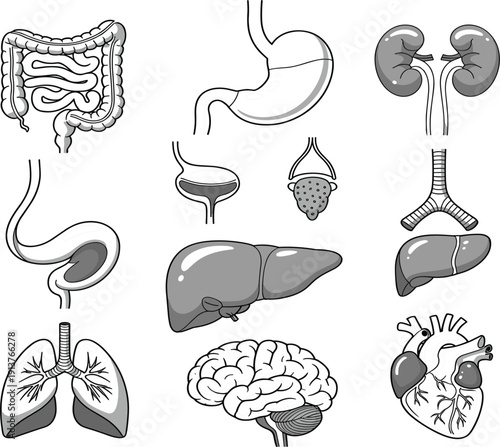 Wild wolf head mascot set, predator animal forest wildlife power strength speed athlete sport team emblem vector art illustration