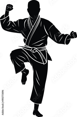 Karate fighter silhouette performing martial arts kick, traditional dojo training, combat sport discipline, strength, balance and self defense concept