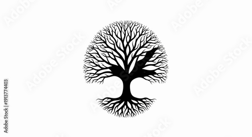 Detailed silhouette of a deciduous tree with intricate branches and roots