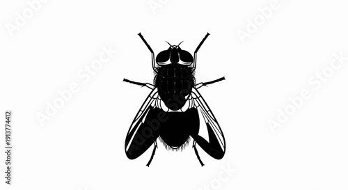 Detailed silhouette of a fly with large eyes and spread wings
