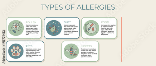 Types of Allergies Overview infographic featuring pollen, dust, food  