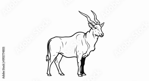 Detailed black and white illustration of a large antelope with curved horns