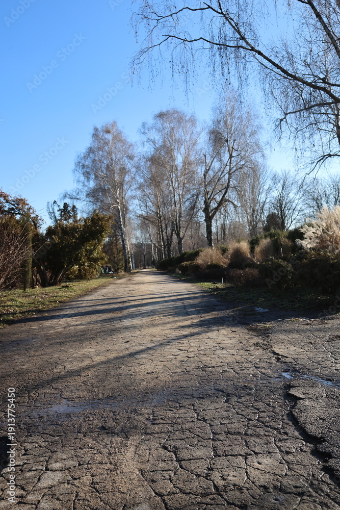 Fototapeta premium road, nature, landscape, sky, trees, forest, country, green, path, rural, summer, highway, park, grass