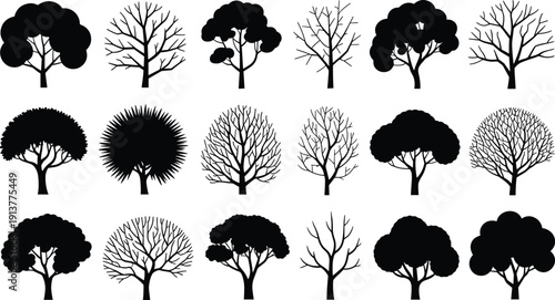 Tree silhouettes collection vector set, deciduous and leafy forest trees, black nature icons for landscape design, park scenery, seasonal foliage illustrations
