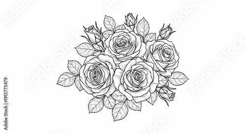 Detailed sketch of a rose bouquet with buds and leaves