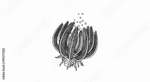 Detailed line drawing of an ancient sea creature with feathery appendages and bubbles
