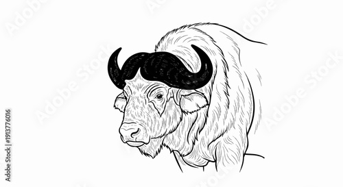 Detailed black and white sketch of a powerful bull with large, curved horns