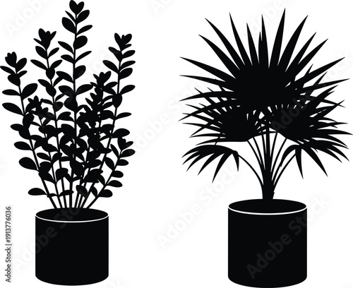 Black vector silhouettes of indoor potted plants featuring a leafy succulent and a fan palm for home decor design projects