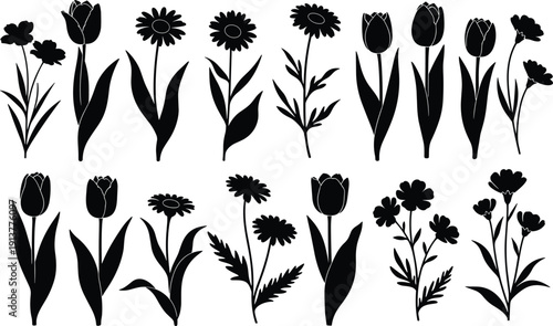 Large collection of black vector silhouettes of spring flowers including tulips daisies and wildflowers for garden and nature design projects