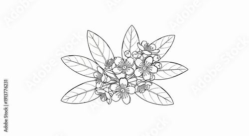 Delicate sketch of blooming flowers and leaves in a cluster