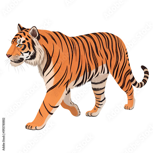 A majestic tiger walking in a powerful and elegant stride