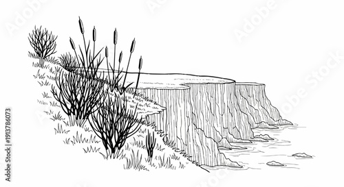 Ink sketch of reeds on a grassy cliff edge overlooking the sea