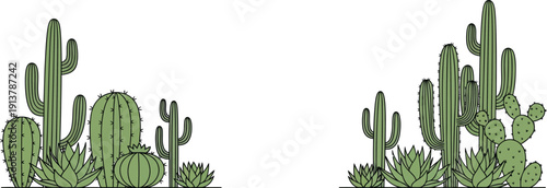 Illustration of cacti and succulents in a desert landscape viewed from the side