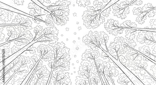 Looking up through a canopy of trees with falling leaves