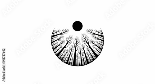 Looking up through bare trees towards a dark circle in a circular frame