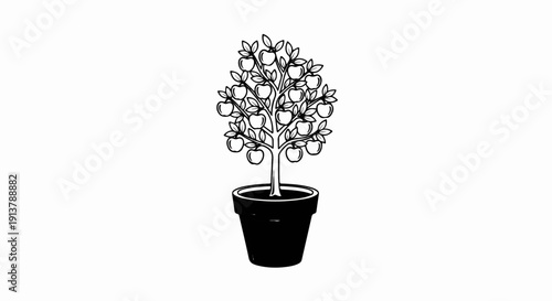 Line art of a fruit tree laden with apples in a dark pot
