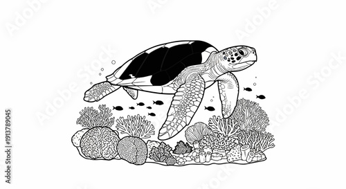 Line art of a sea turtle swimming amidst coral and small fish in clear water