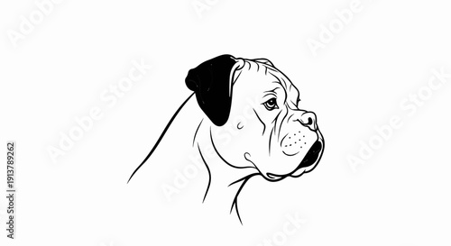 Line art profile of a boxer dog with a black ear and white markings