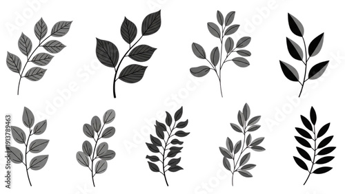 Collection of monochrome leaf illustrations displayed from various viewpoints on white