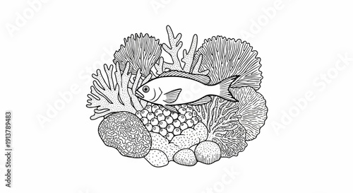 Line drawing of a fish swimming in a vibrant coral reef ecosystem