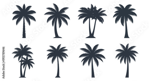 Vector set of eight isolated dark silhouette palm trees with varying frond shapes and trunk heights, perfect for tropical vacation branding or summer beach illustrations.