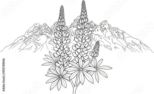 Mountain peaks frame blooming lupine flowers in a striking black and white line drawing