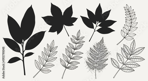 Vector illustration set featuring various botanical leaf silhouettes and detailed hand-drawn foliage designs, isolated on a light beige background.