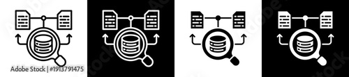 Data Classification Icon Set In Black And White Filled Style Collection