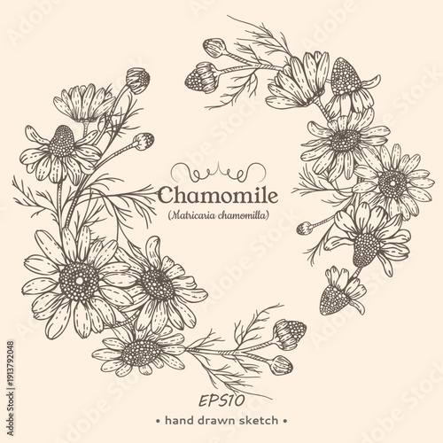 Wreath of Chamomile