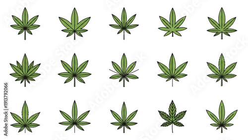 Collection of cannabis leaves arranged in a grid pattern on a white background viewed from directly above