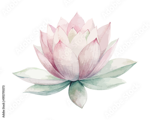 Elegant Lotus Watercolor Bloom, Spiritual Botanical Illustration Isolated on White