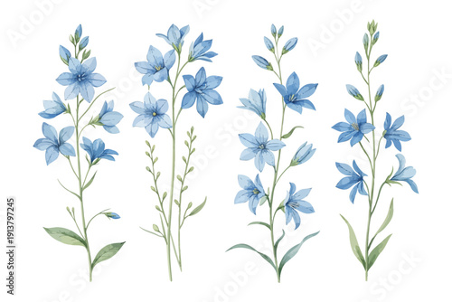 set of Watercolor Lobelia Flower Art, Blue Cascading Botanical Illustration, vector isolated on white background