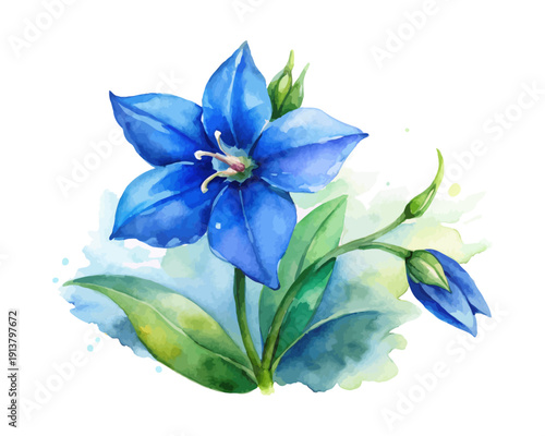Blue Lobelia Watercolor Bloom, Delicate Garden Botanical Illustration Isolated on White